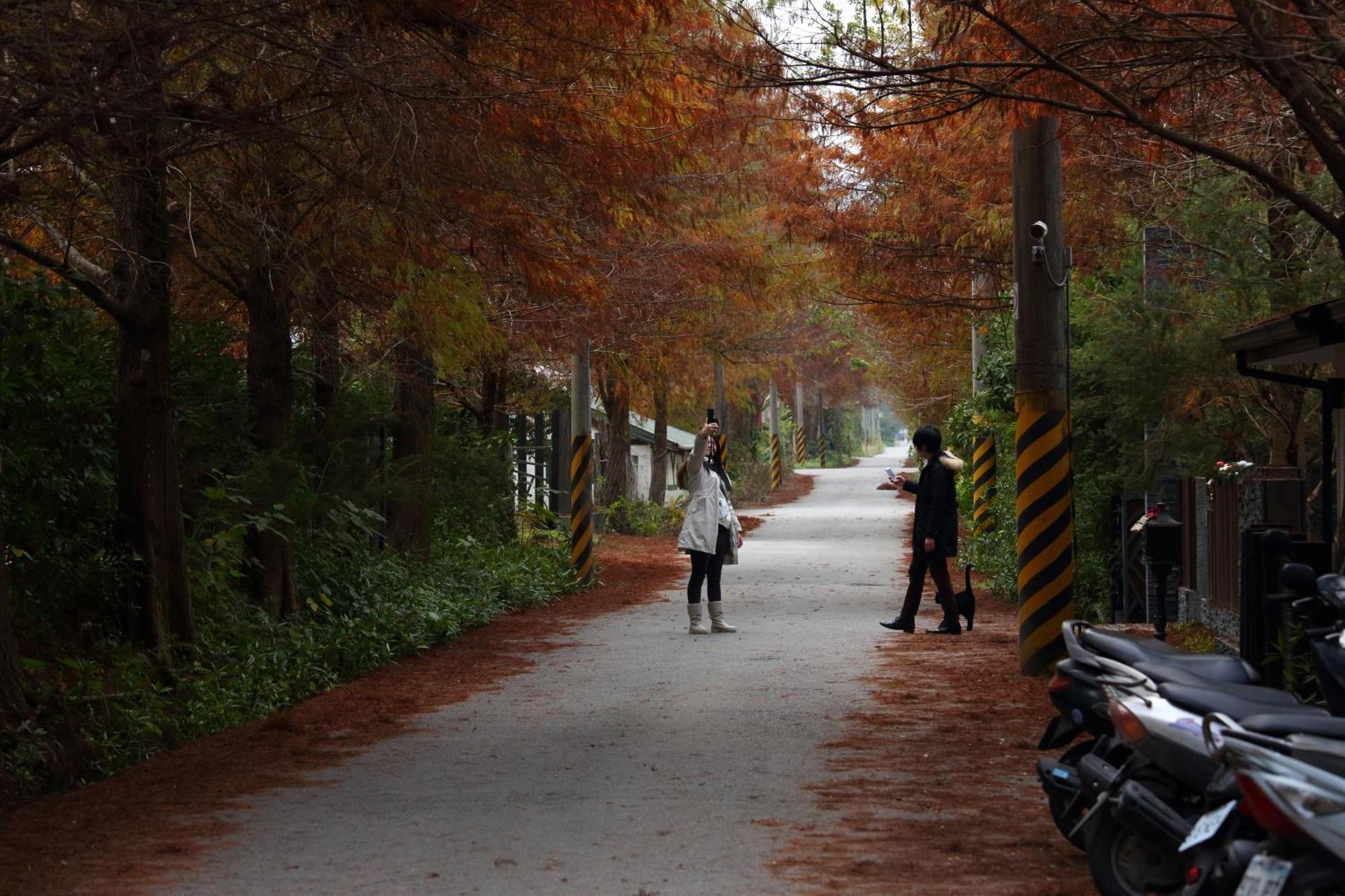 Grace Garden Villa Fengshan  ภายนอก รูปภาพ